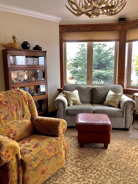 A Living Room With Two Couches and a Bookshelf