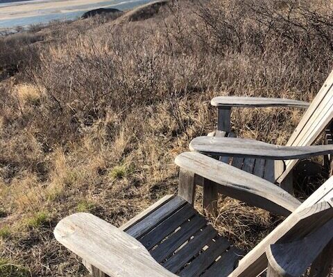 Two Lounge Chairs in Wood by the Field